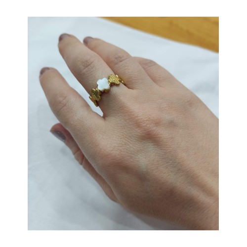 Anillo Eco